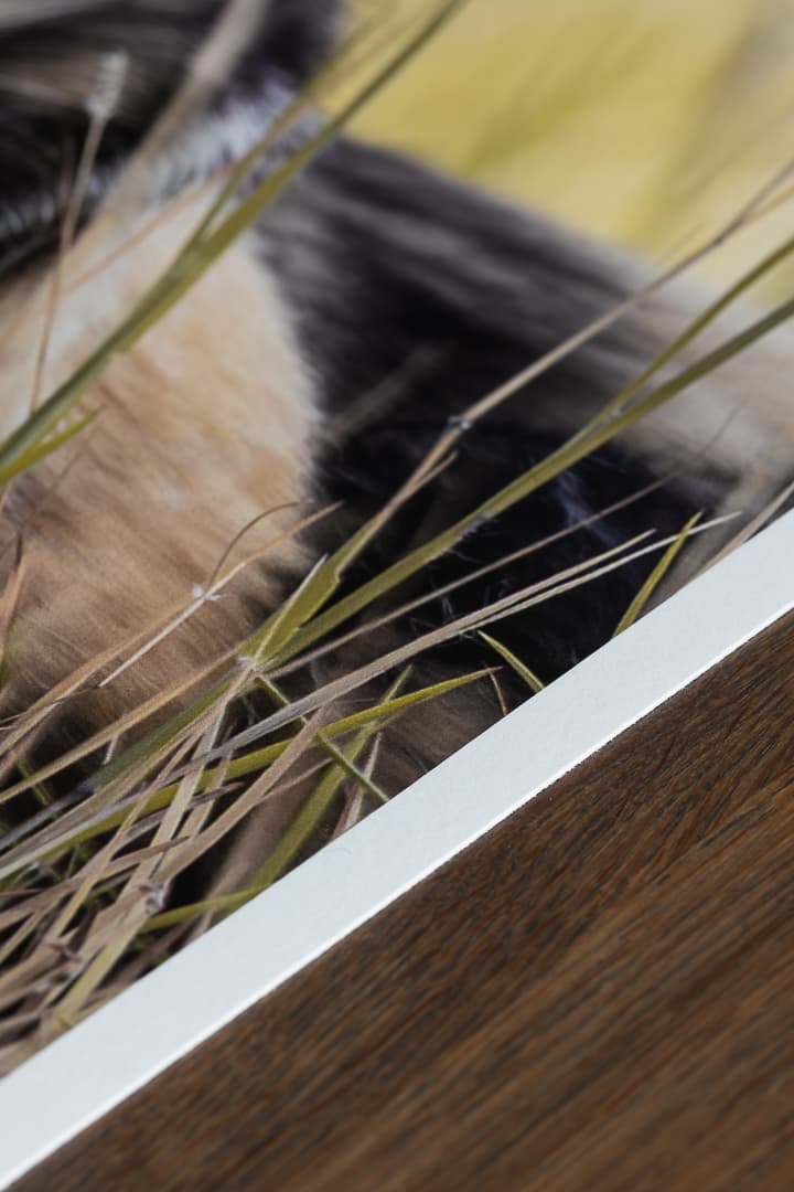 Detail shot of the Hahnemühle Photo Rag paper