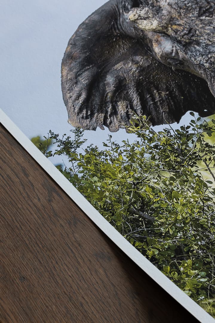 Detail shot of the Hahnemühle Photo Rag paper