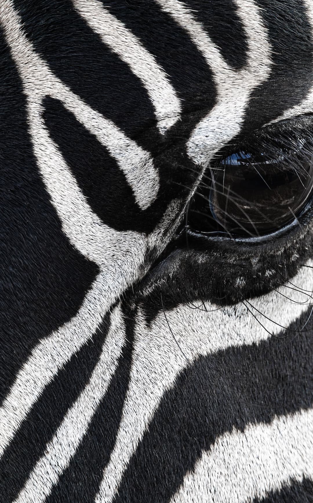 A crop of some details