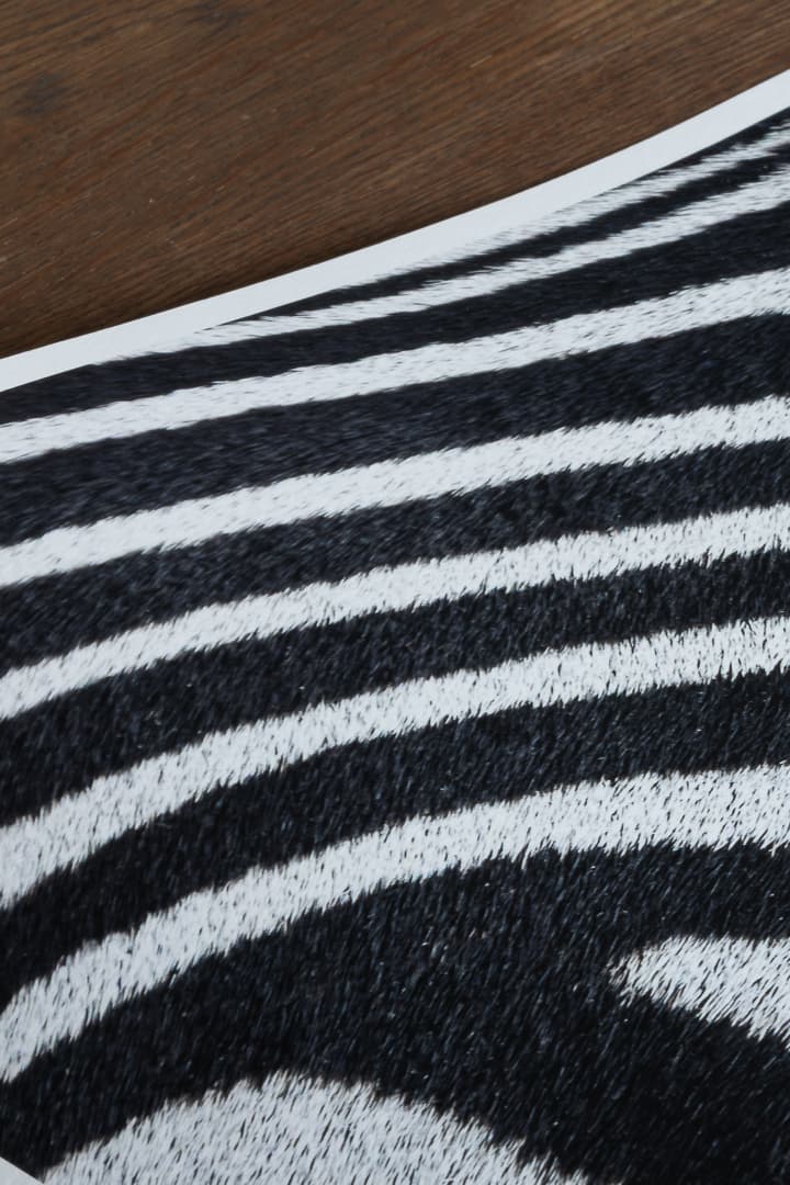 Detail shot of the Hahnemühle paper